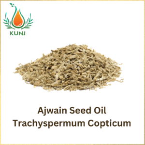 Ajwain oil