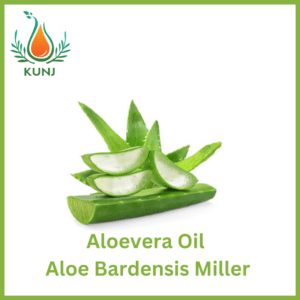 Aloe veera oil