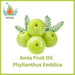 Amla fruit oil