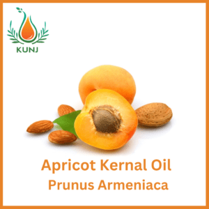 Apricot kernal oil