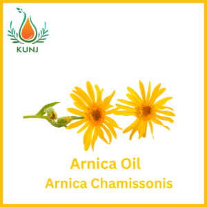 Arnica oil