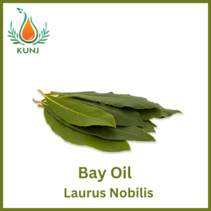 Bay oil