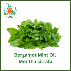 Bergamot Mint oil