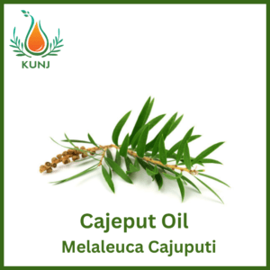 Cajeput oil