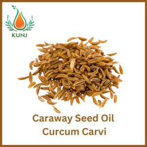 Caraway seed oil