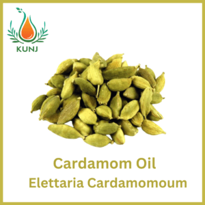 Cardamom oil