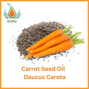 Carrot seed oil