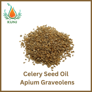 Celery Seed Oil
