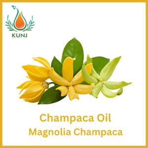 Champaca oil