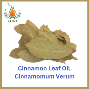 Cinnamon leaf oil