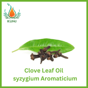 Clove leaf oil