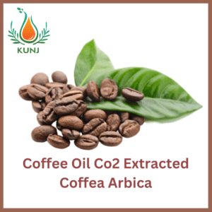 Coffee Oil