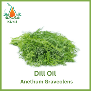 Dill oil