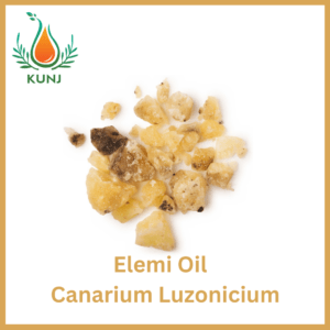 Elemi oil