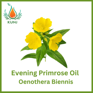 Evening prime rose oil