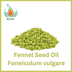 Fennel seed oil