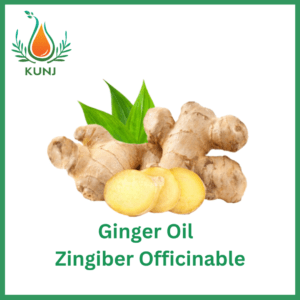 Ginger oil