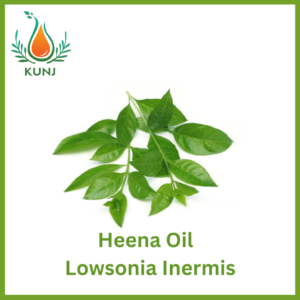 Heena oil