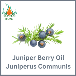 Juniper berry oil