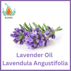 Lavender oil