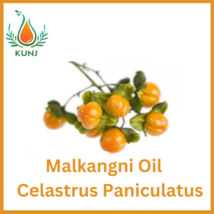Malkangani oil