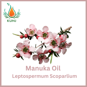 Manuka oil