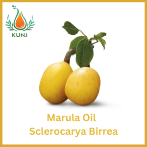 Marula oil
