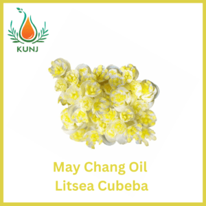 May chang oil