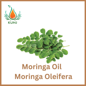 Moringa oil