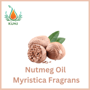 Nutmeg oil