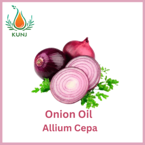 Onion oil