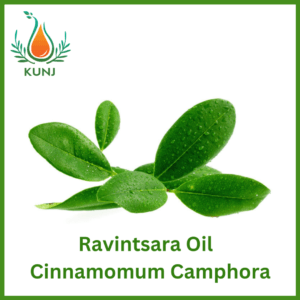 Ravintsara oil