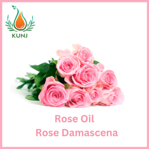 Rose oil