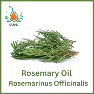 Rosemarry oil