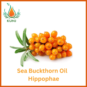 Seabuckthorn oil