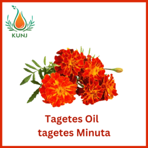 Tagetus oil