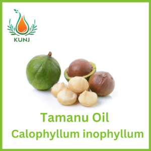 Tamanu oil