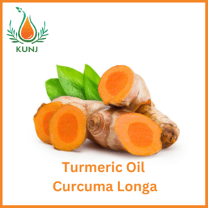 Turmeric oil