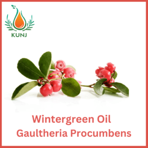 Wintergreen oil